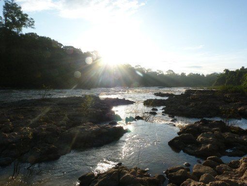 Nam Cat Tien National Park as the sun begins to set.