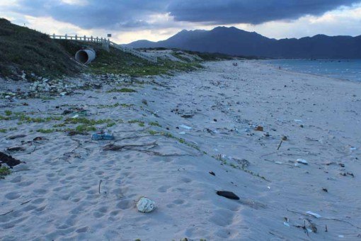 ... and this is the same beach before the clean-up.
