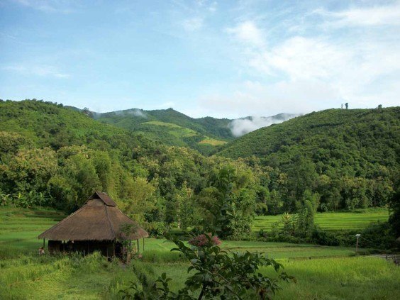 The view from Kamu Lodge