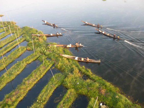 Travel by traditional longtail boat on Inle Lake (Photo: Almut Dunnington)