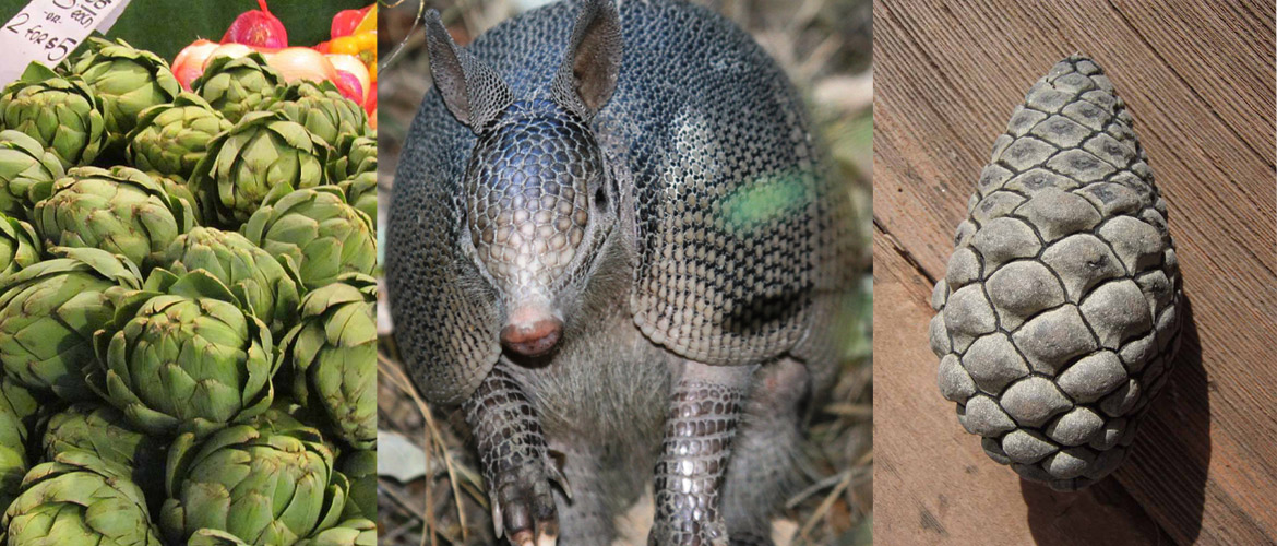 Spot the difference