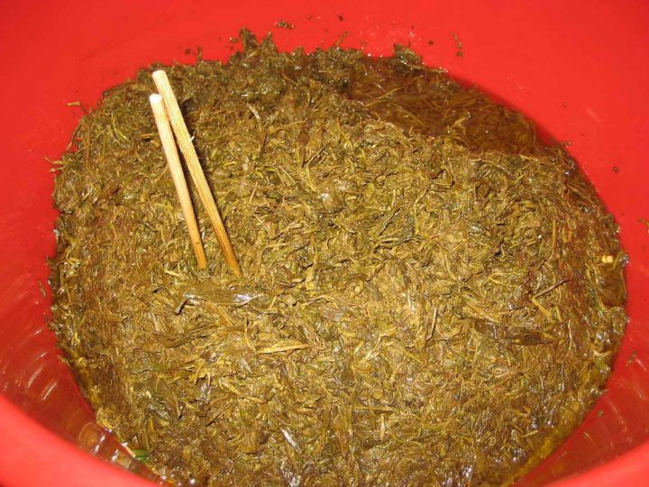 Lahpet for sale (Photo: Wikipedia)