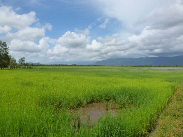 Enjoy the Cambodian countryside on a cultural bike tour