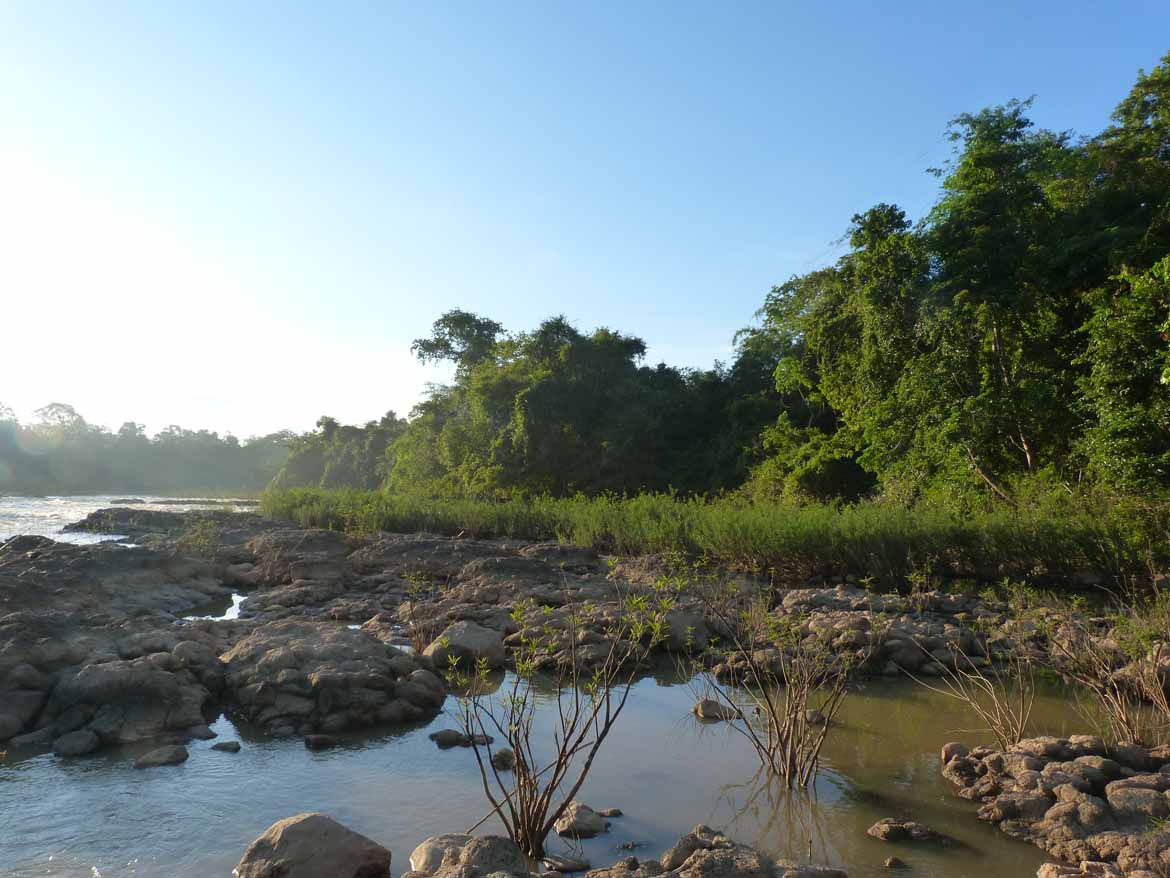 Nam Cat Tien National Park is a great place to spot rare wildlife.