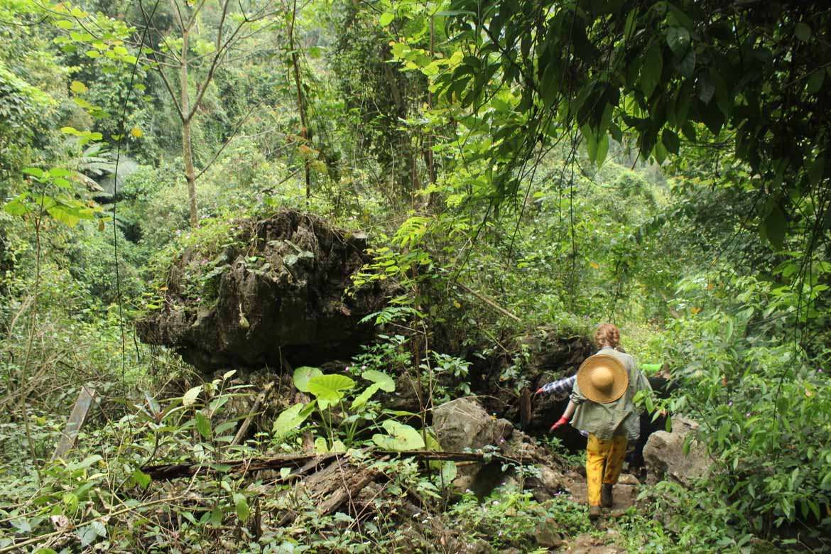 Trekking in Quang Binh Province