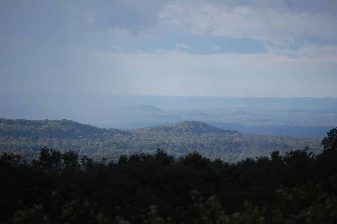 The forests of Mondulkiri