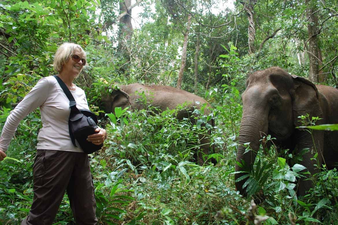Walking with elephants