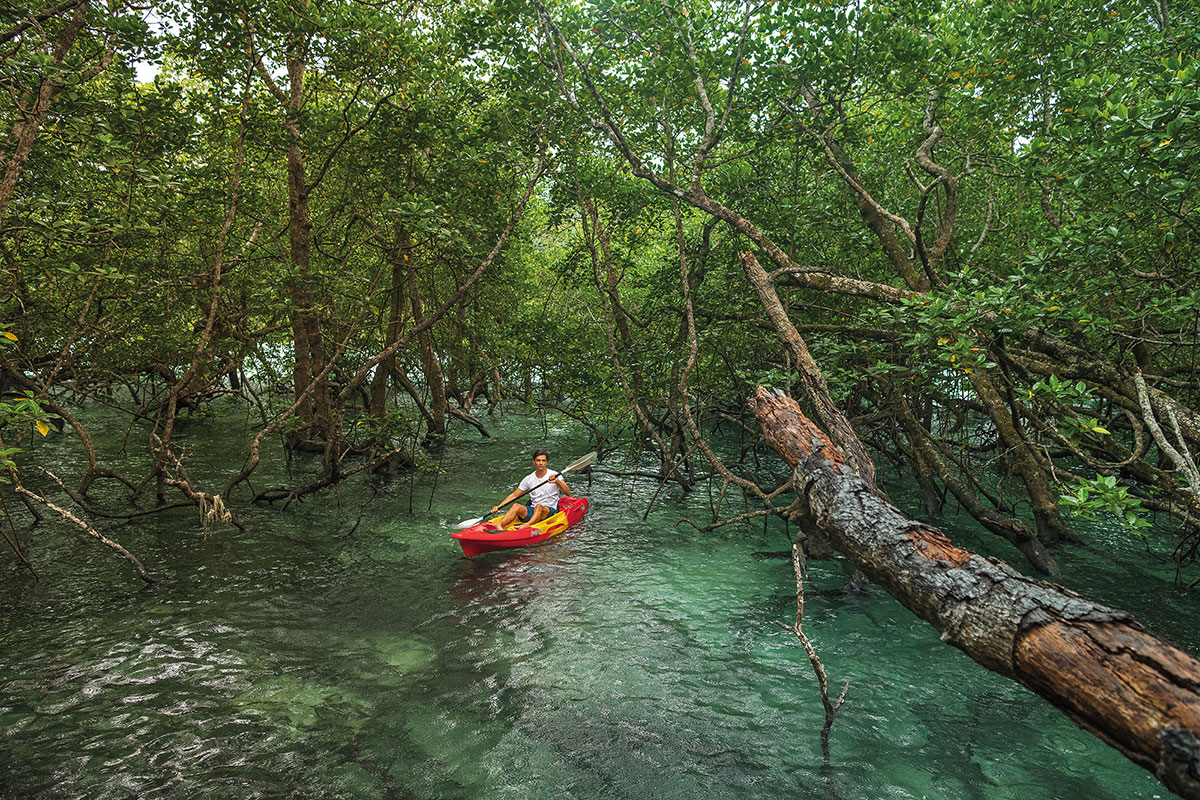 kayak wa ale island holiday